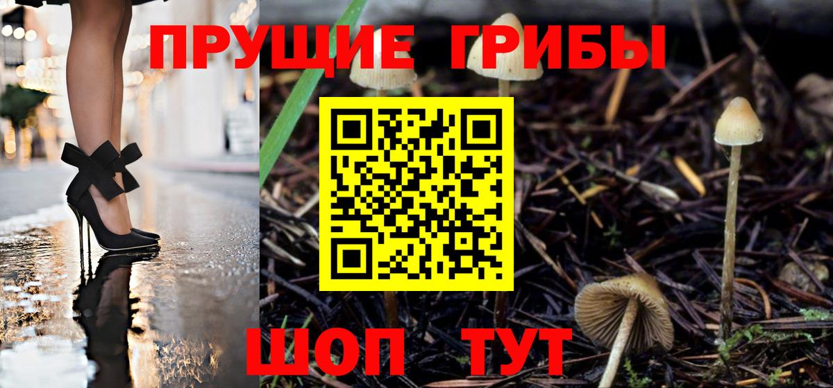 Псилоцибиновые грибы прущие грибы Железногорск
